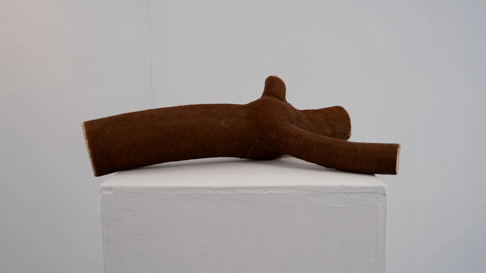 Ghosts of Mara — Vue d'exposition