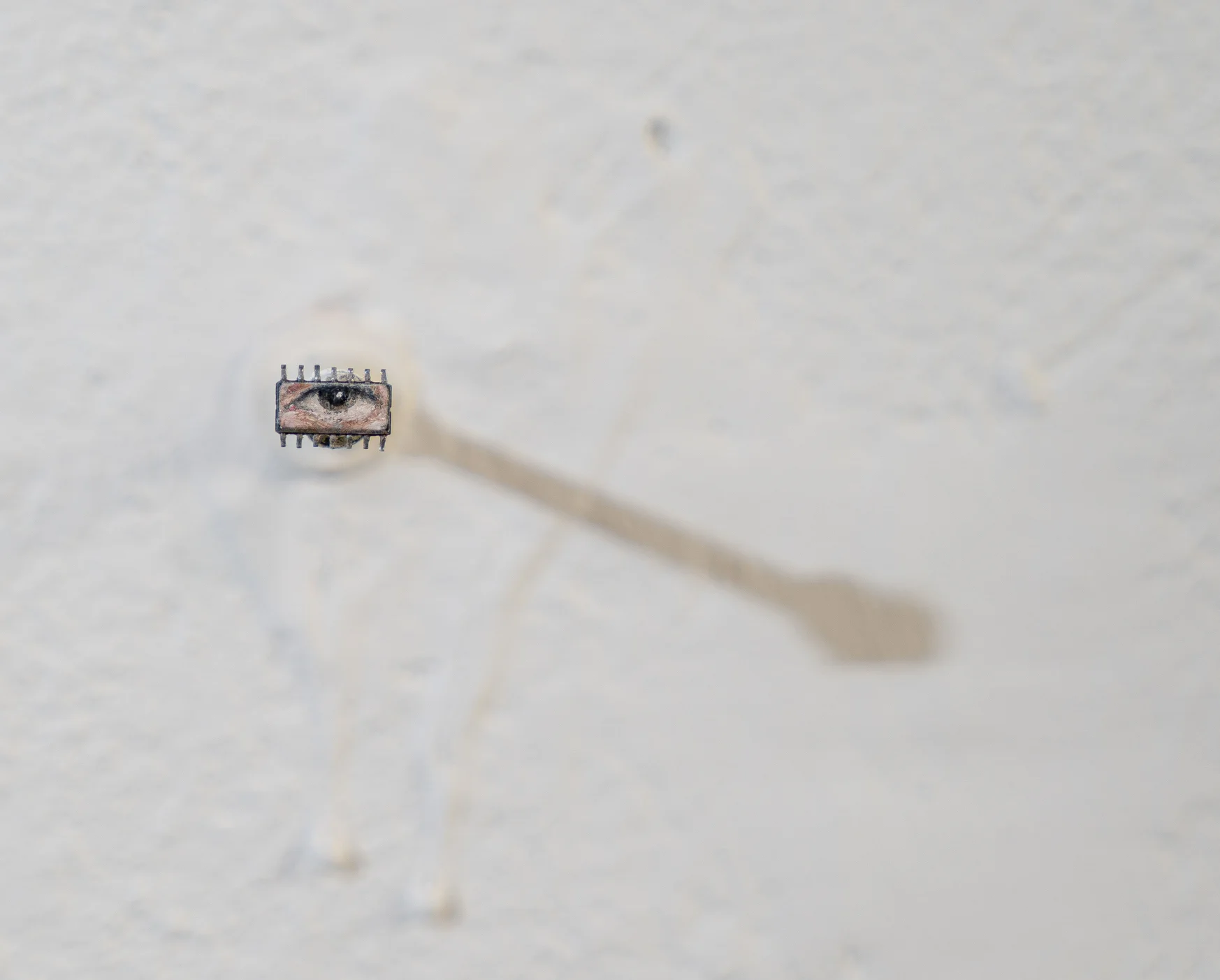 Krypta — Vue d'ensemble